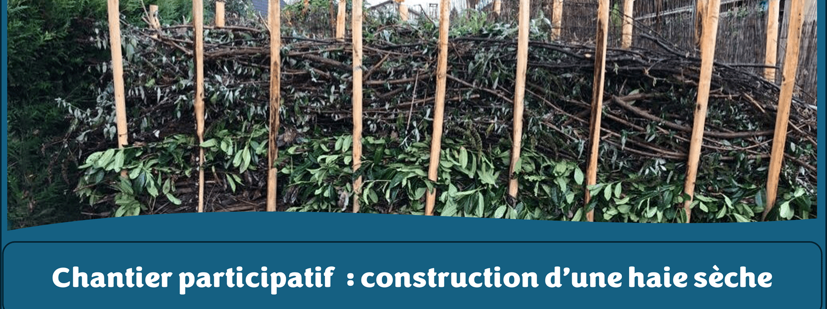 Chantier participatif : construction d'une haie sèche
