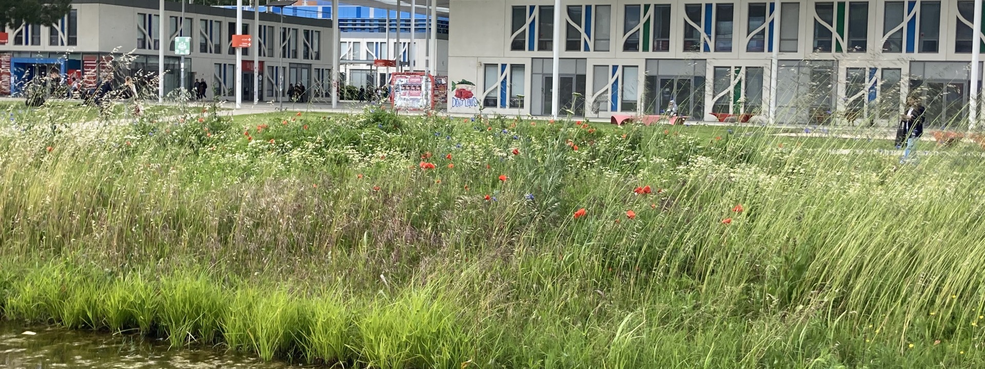 Eco-campus : visite guidée du campus du Mirail
