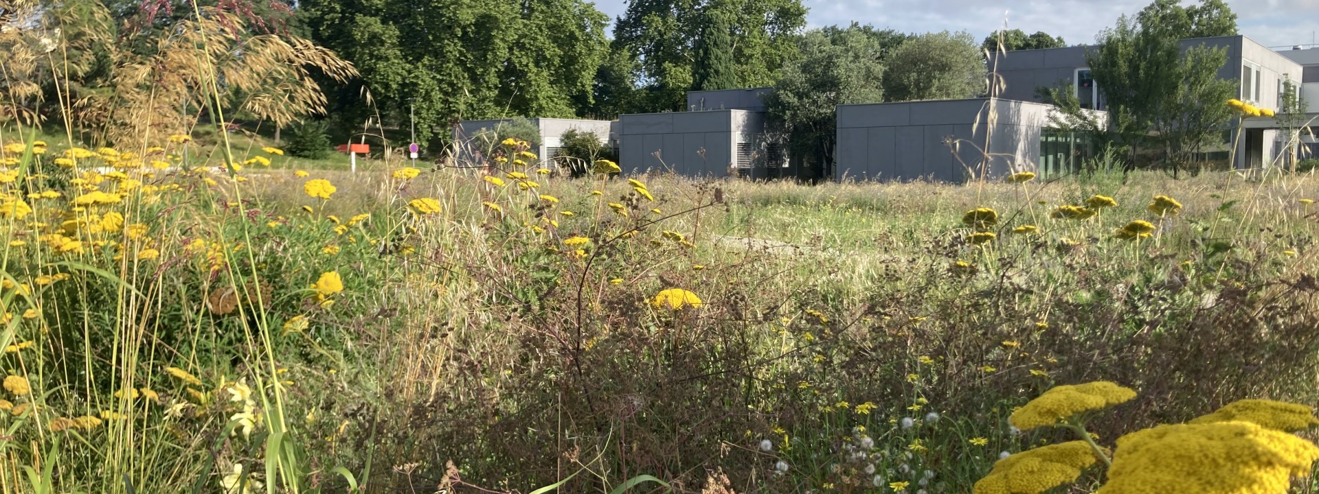 Inauguration du potager - sans inscription cover image