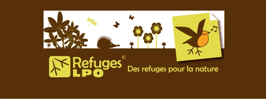 Event cover image